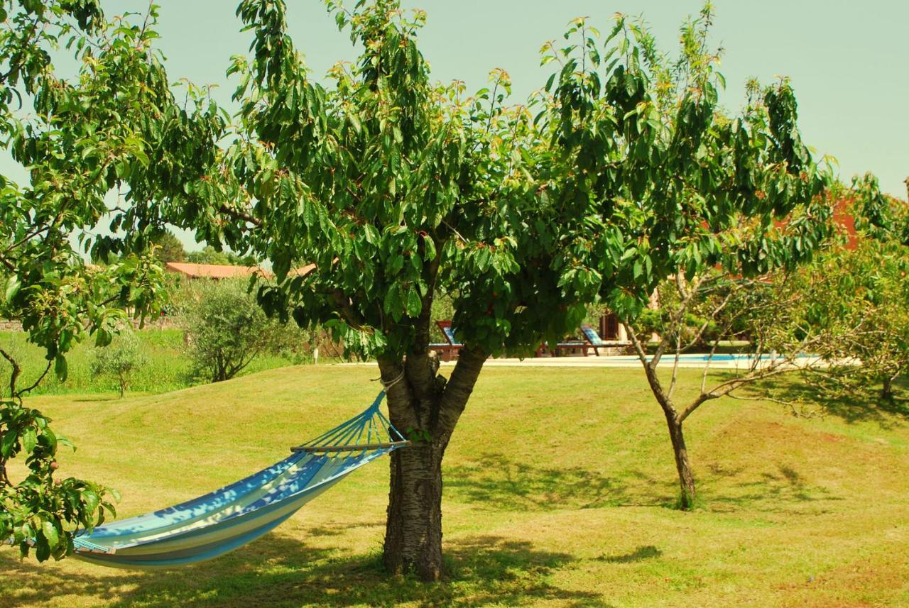 Barban Villa Dorina מראה חיצוני תמונה